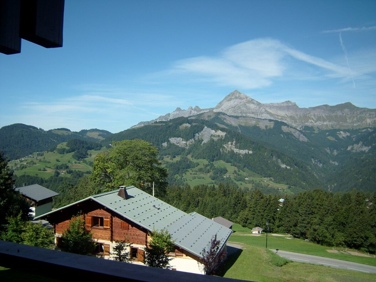 Appartement 4 pers. mezzanine, 200m des pistes à Crest-Voland - Photo 9