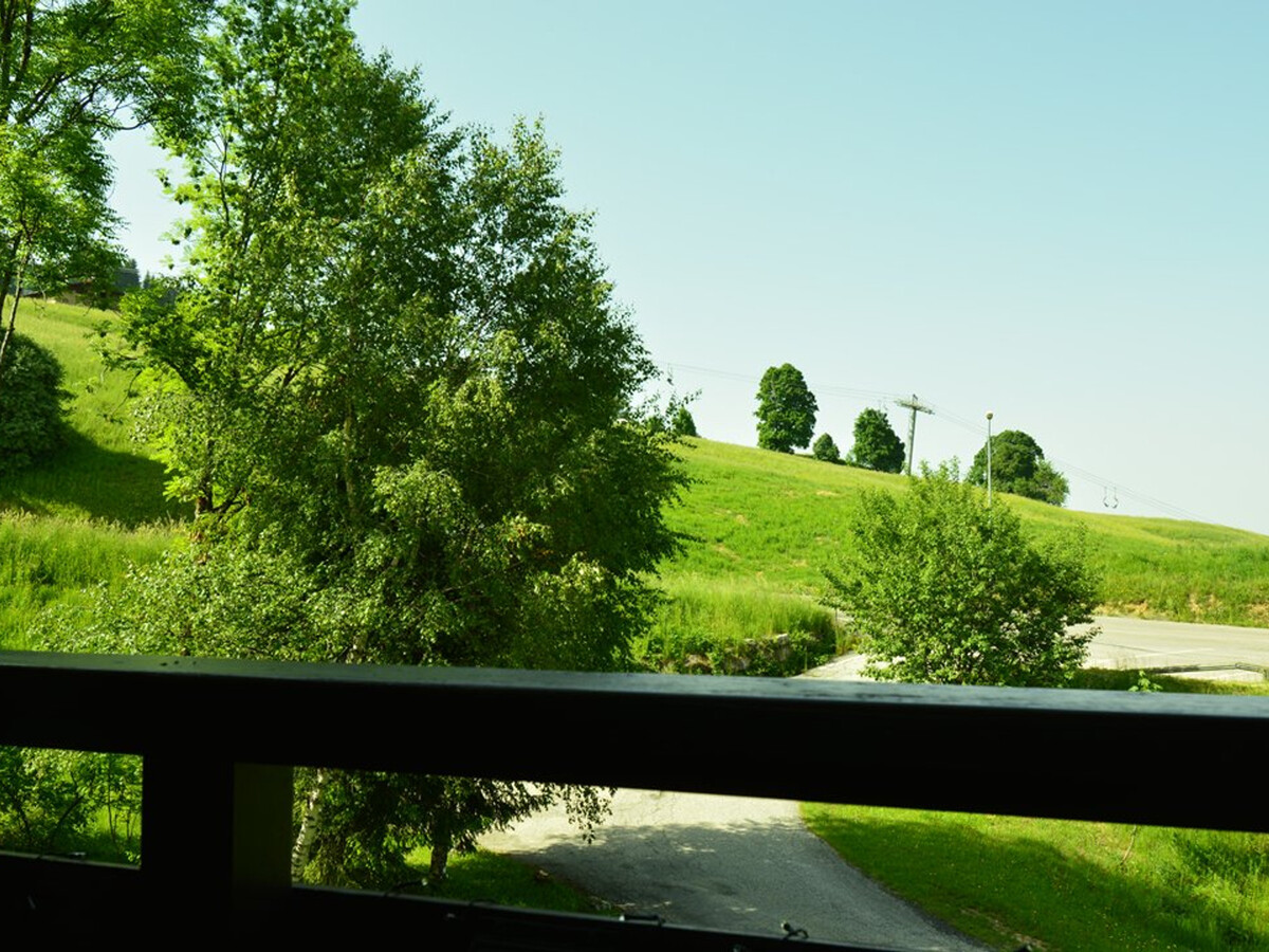 Studio 20m² 4 pers., 80m des pistes à Crest-Voland - Photo 15