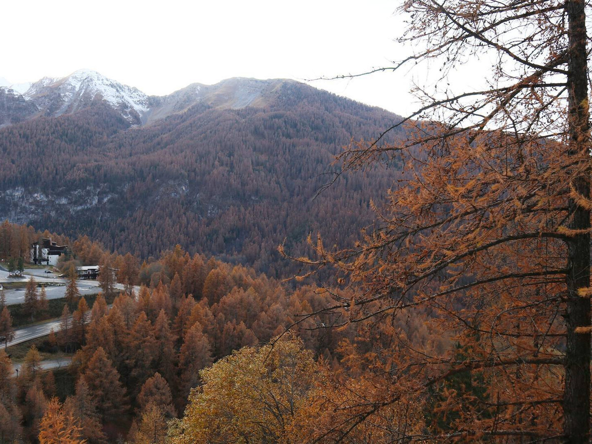 Appartement 2P aux Orres, accès direct pistes et cheminée - Photo 8