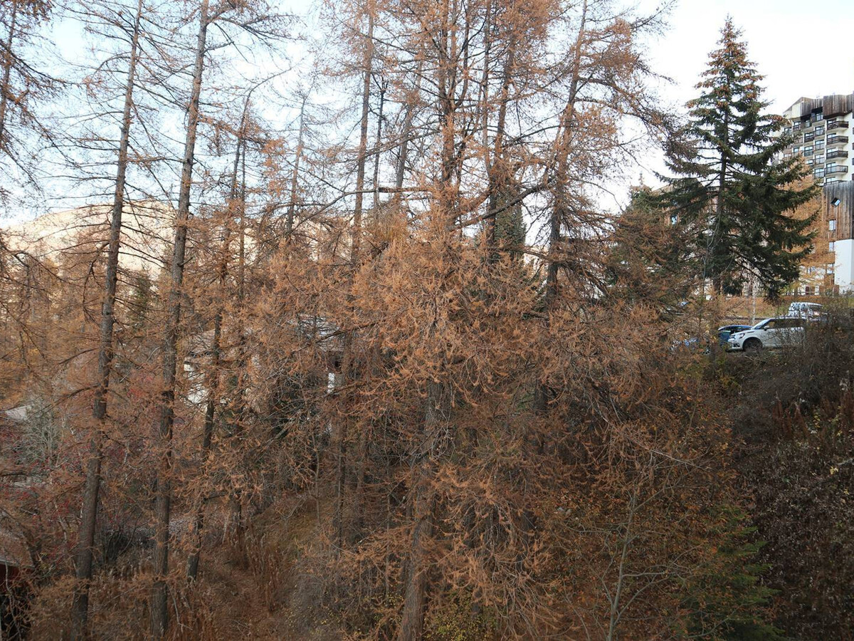 Appartement 2P aux Orres, accès direct pistes et cheminée - Photo 9