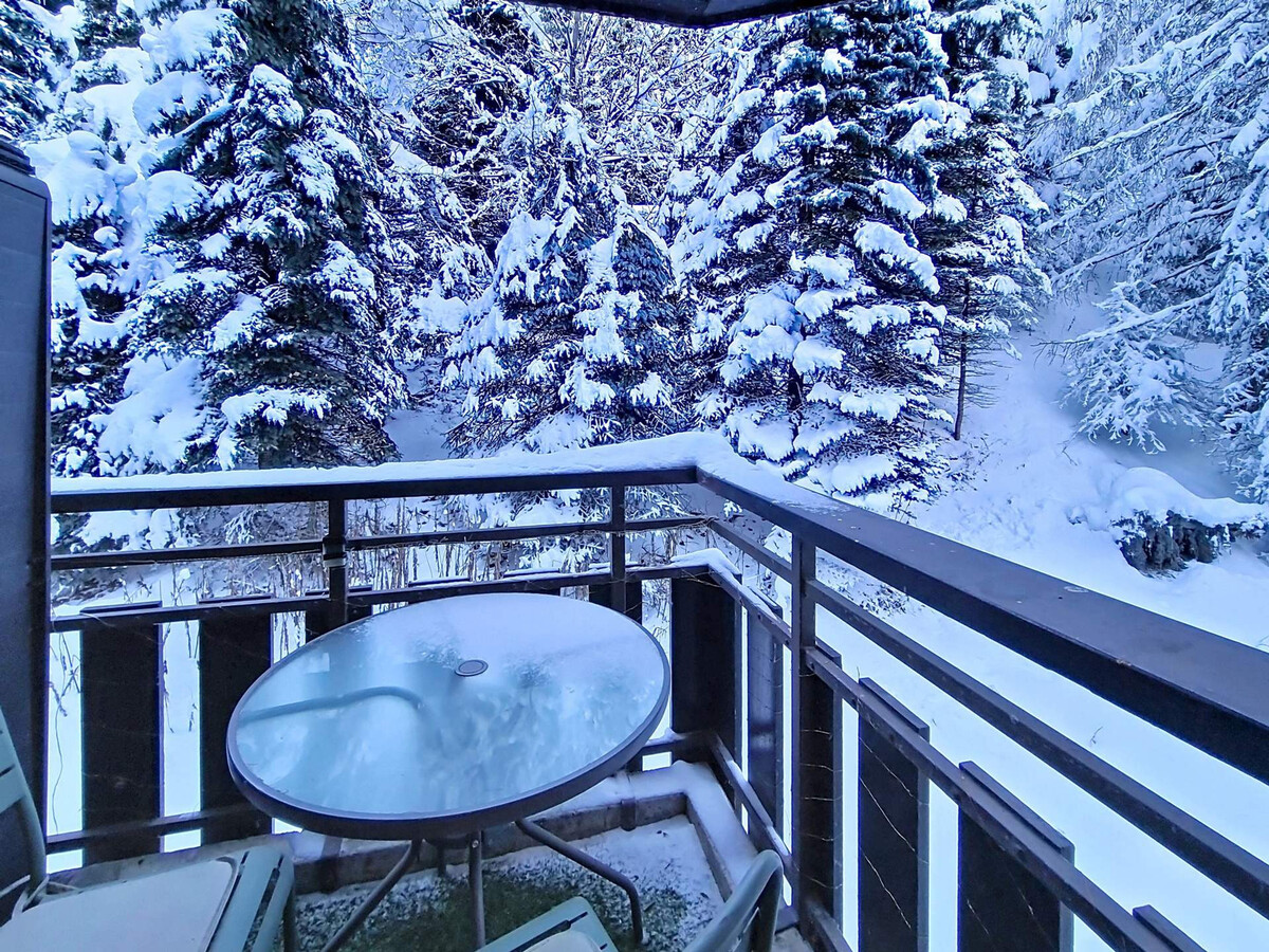 Studio 17 m² balcon aux Menuires · 2 pers - Photo 10