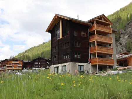 Location appartement à Saas Grund, Ferienhaus Capricorn