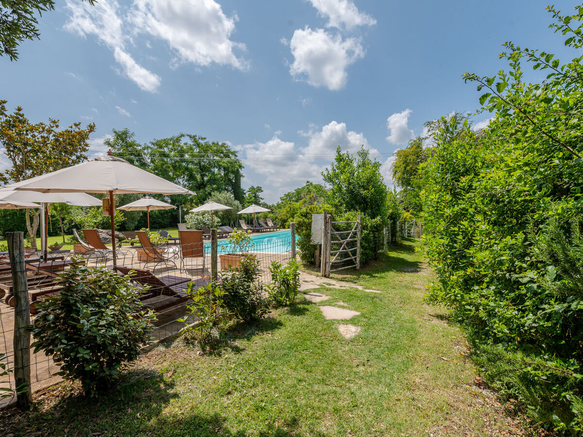 Gîte Olinto à Cinigiano, maison rustique 2 pers. - Photo 37