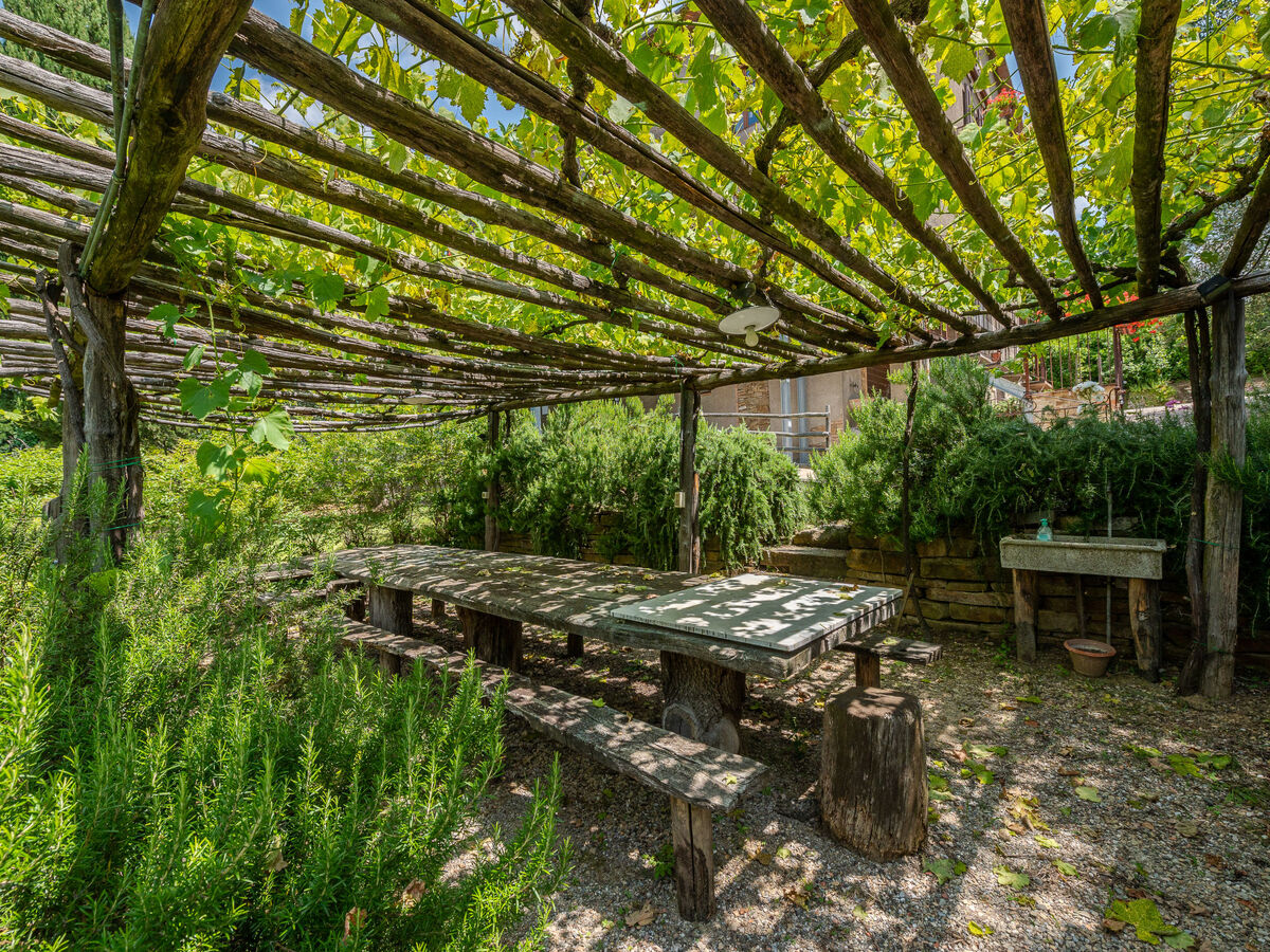 Gîte Olinto à Cinigiano, maison rustique 2 pers. - Photo 42