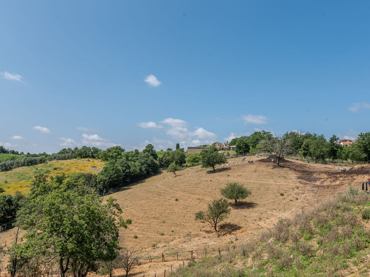 Gîte Olinto à Cinigiano, maison rustique 2 pers. - Photo 47