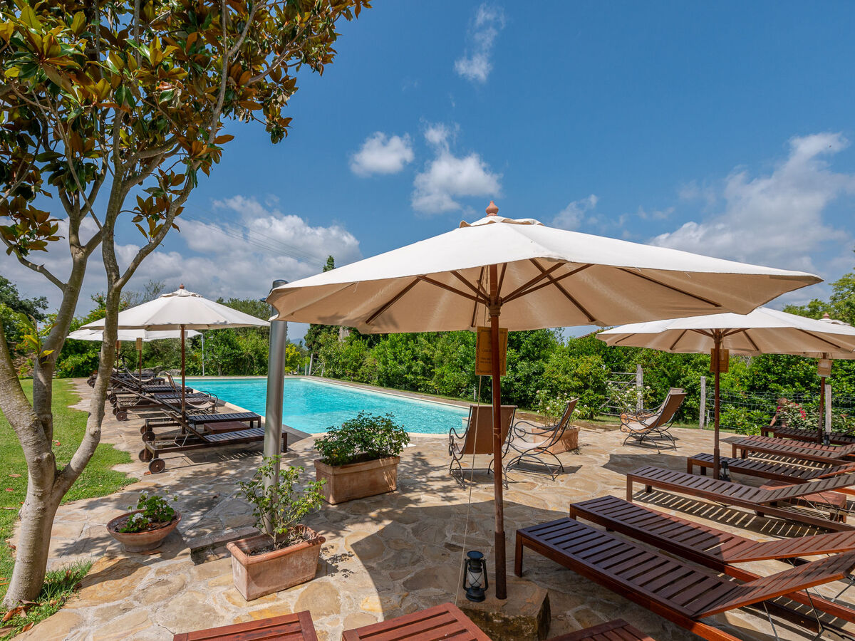 Gîte Carola en Toscane avec piscine et vignobles - Photo 3