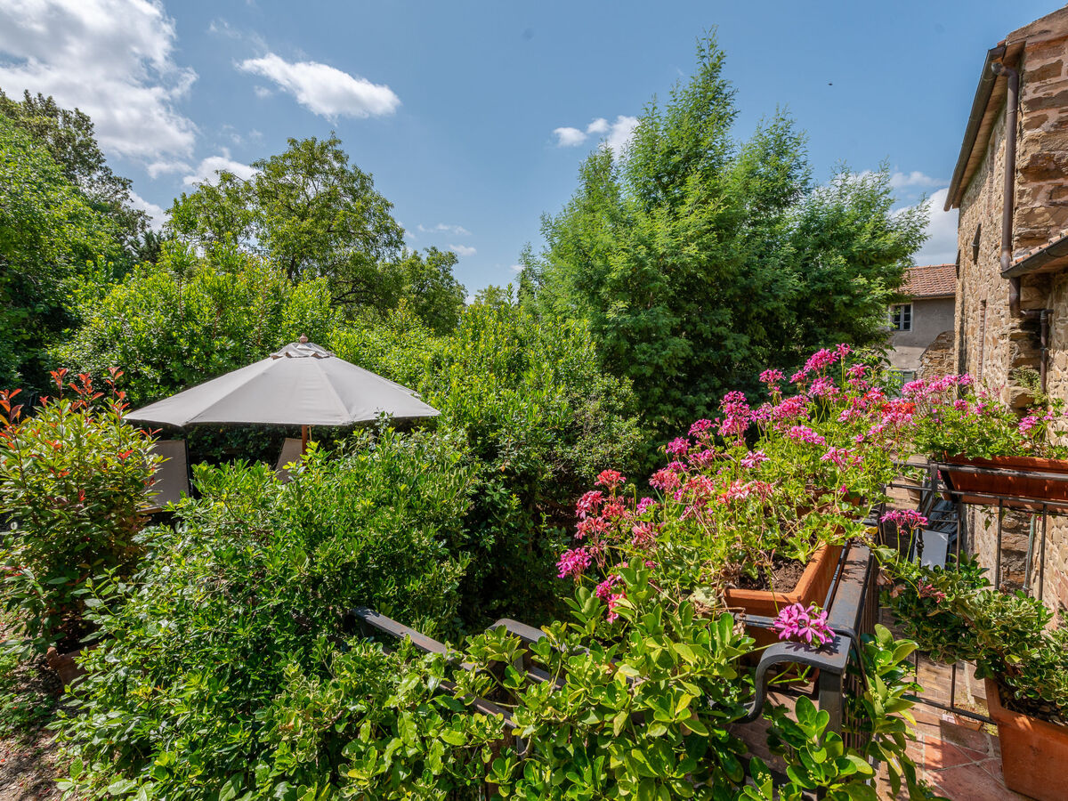 Gîte Carola en Toscane avec piscine et vignobles - Photo 6