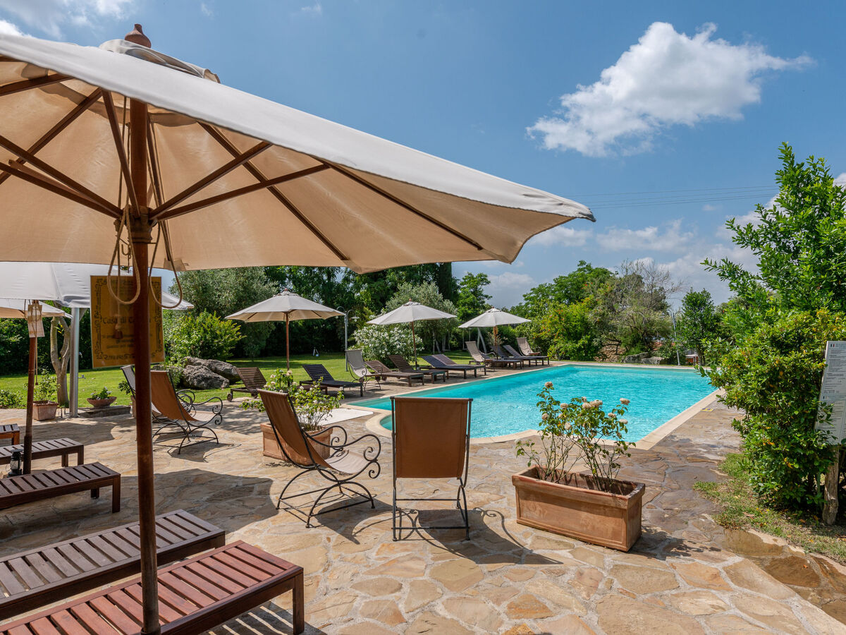 Gîte Carola en Toscane avec piscine et vignobles - Photo 19