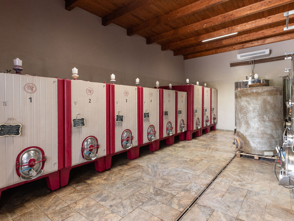 Gîte Carola en Toscane avec piscine et vignobles - Photo 26