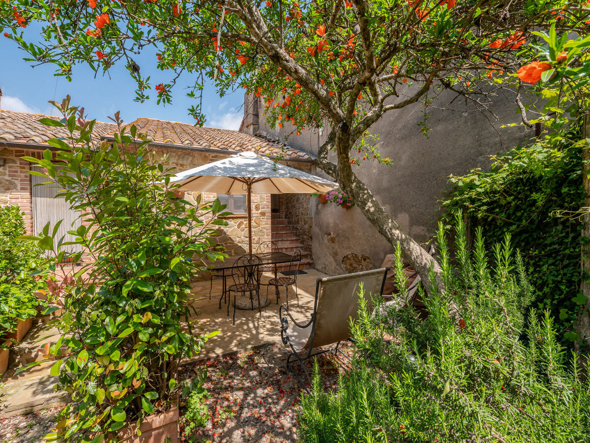 Gîte Carola en Toscane avec piscine et vignobles - Photo 31