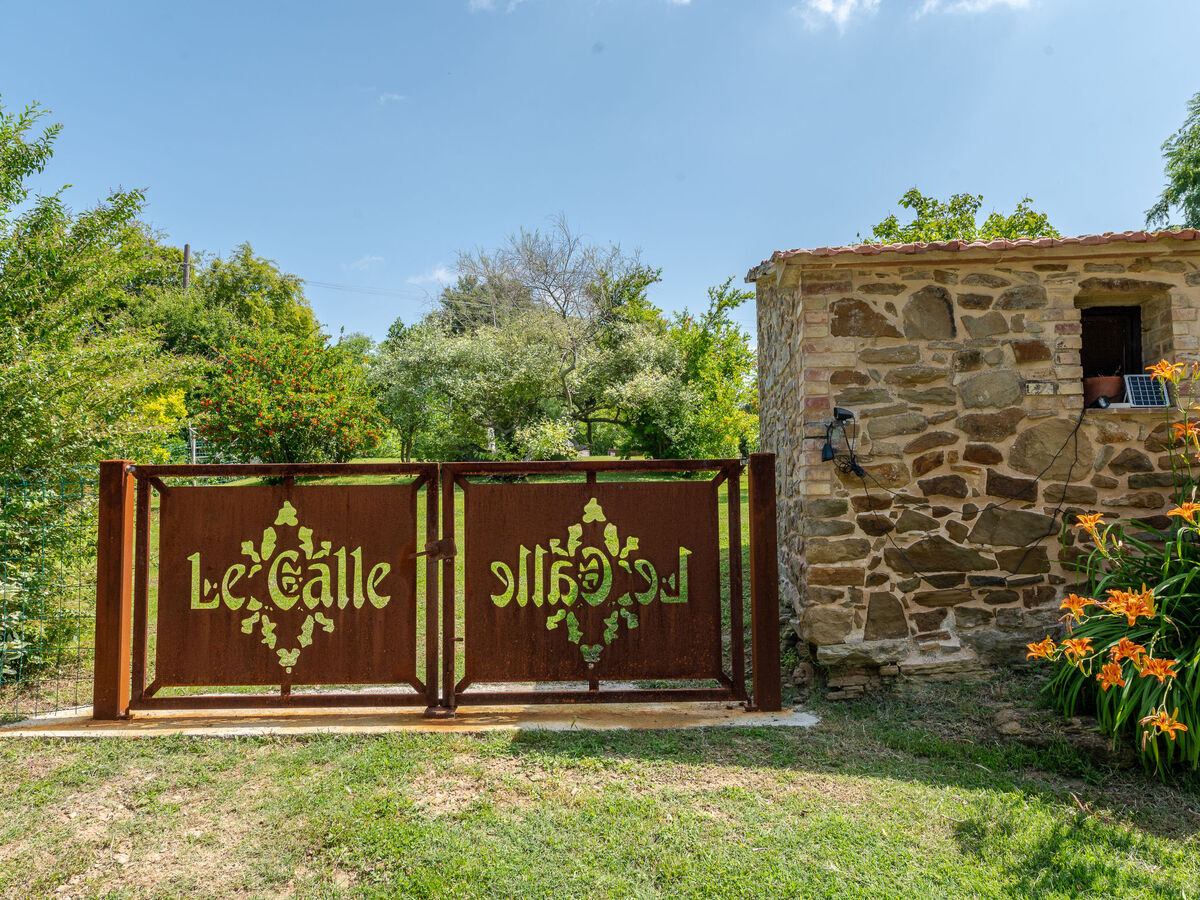 Gîte Carola en Toscane avec piscine et vignobles - Photo 32
