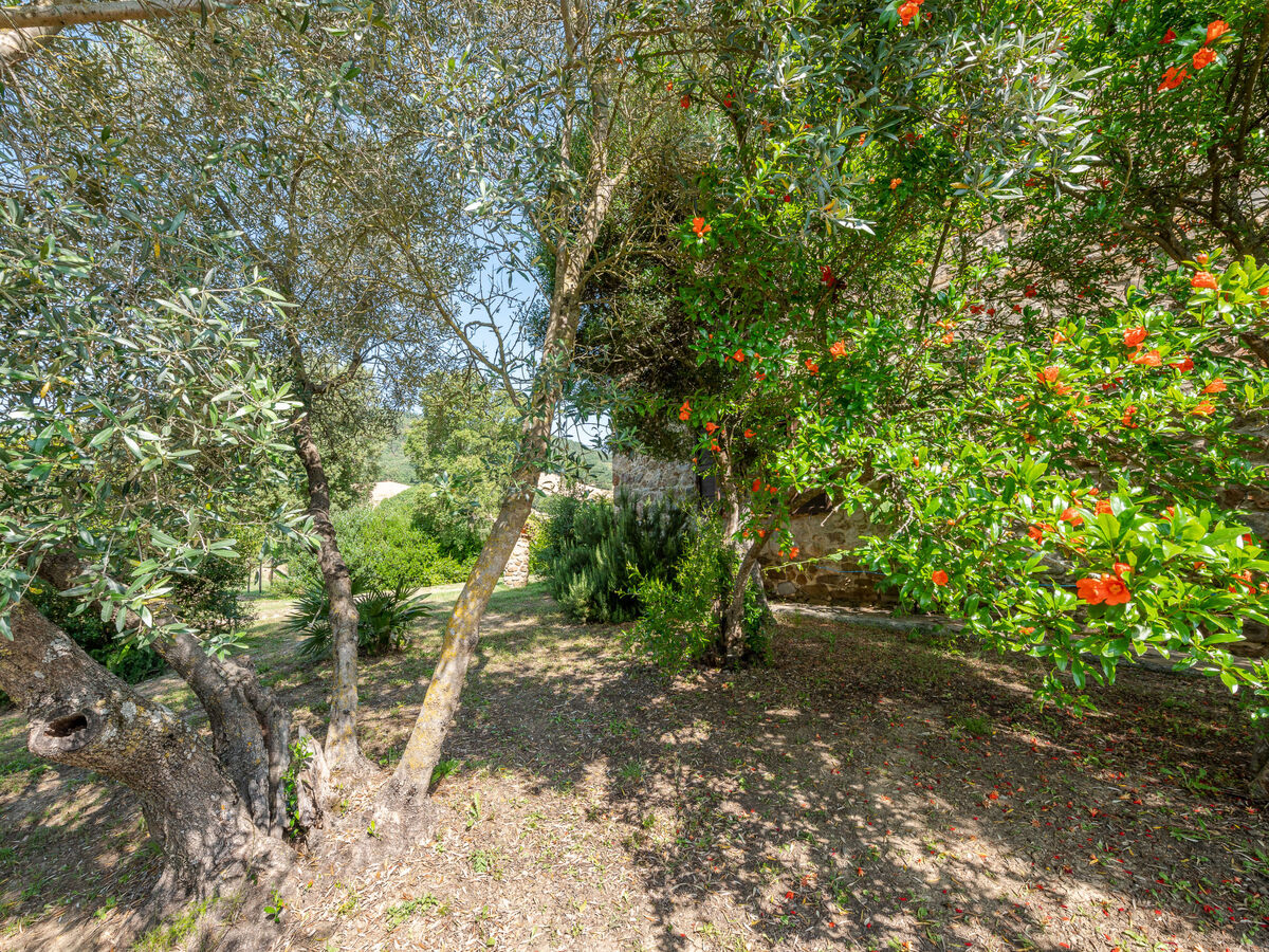 Le Calle - Maison rustique avec piscine privée à Cinigiano - Photo 44