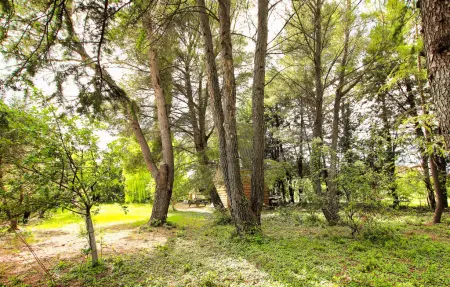 Maison 4 personnes à Carpentras - Photo 13