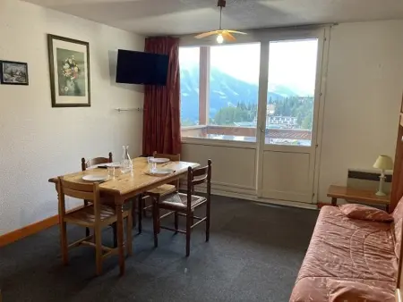 Studio 25 m² 4 pers, balcon sud, pieds des pistes : photo 3