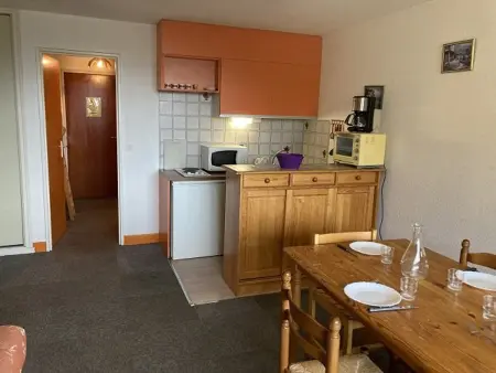 Studio 25 m² 4 pers, balcon sud, pieds des pistes : photo 5