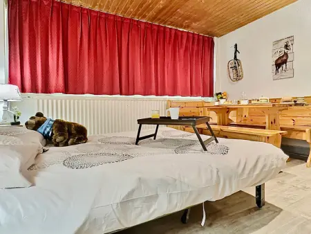 Appartement 32m² Tignes, skis aux pieds, animaux acceptés : photo 11