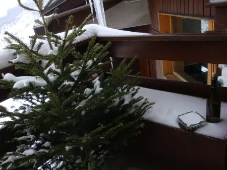 Appartement Méribel Mottaret, pistes à 100 m et balcon : photo 12