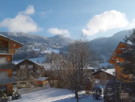 Charmant T2 + cabine avec balcon orienté sud à Saint-Jean-de-Sixt, proche de La Clusaz - Photo 11