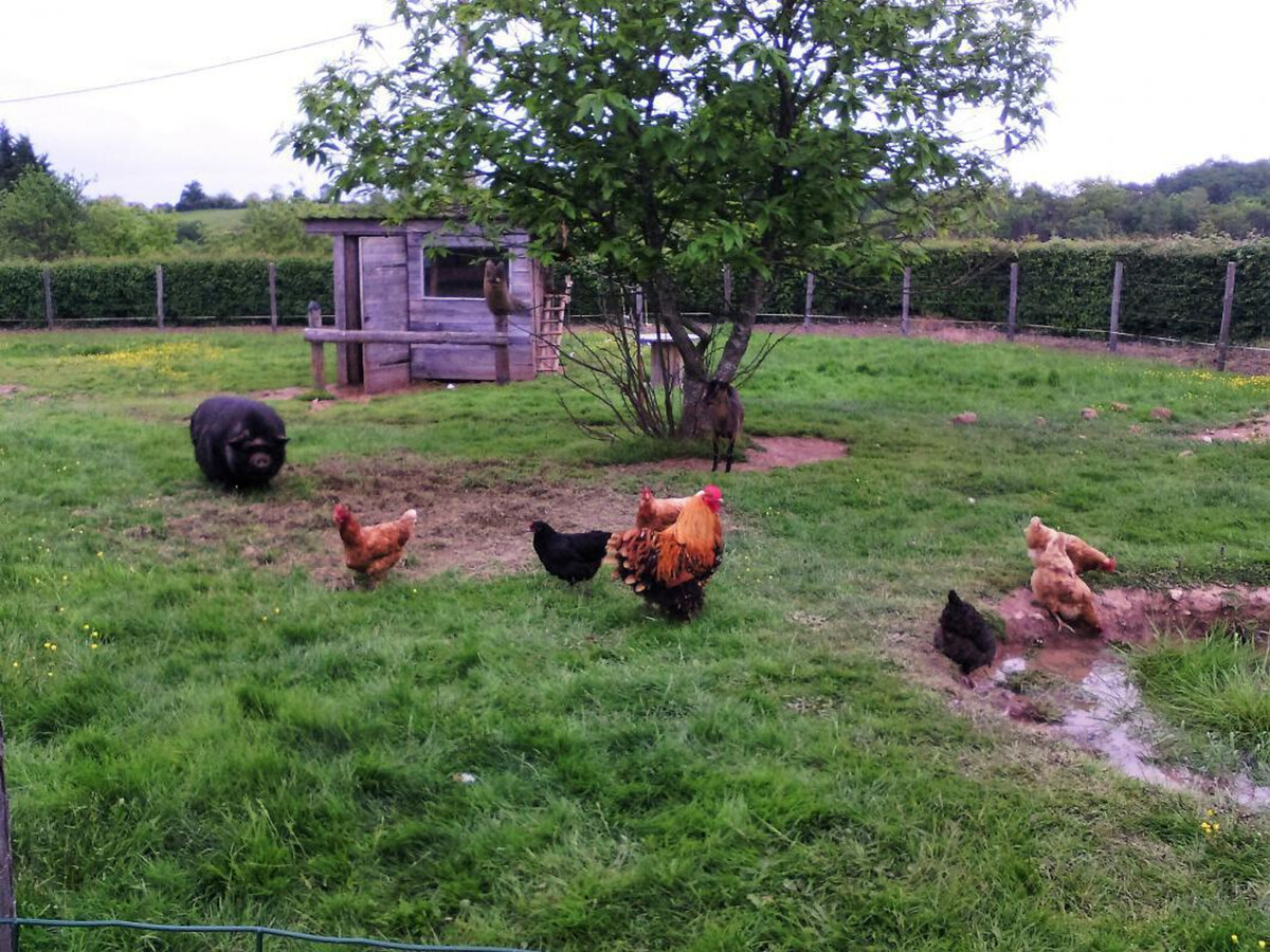 Gîte ferme restaurée 8 pers. avec mini-ferme et 2 ha - Photo 25