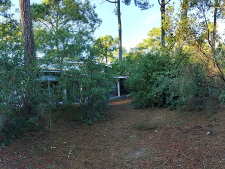 Villa 115 m² en lisière de forêt, jardin 1200 m², accès océan : photo 2