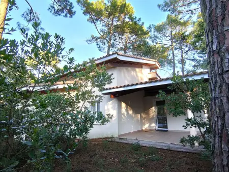 Villa 115 m² en lisière de forêt, jardin 1200 m², accès océan : photo 11