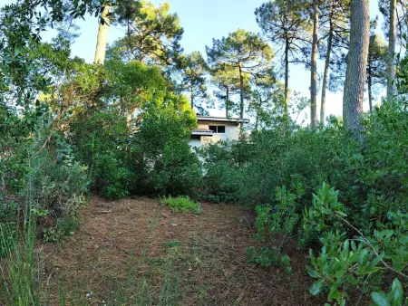 Villa 115 m² en lisière de forêt, jardin 1200 m², accès océan : photo 12