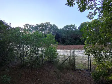 Villa 115 m² en lisière de forêt, jardin 1200 m², accès océan : photo 13
