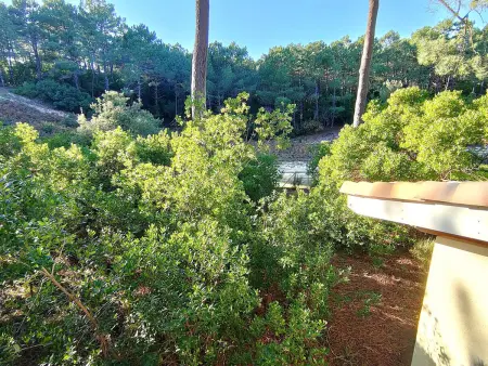 Villa 115 m² en lisière de forêt, jardin 1200 m², accès océan : photo 18