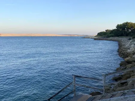 Villa familiale au Cap Ferret: face aux dunes, proche plage, grand jardin et terrasse, 10 pers : photo 4