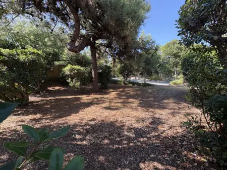 Villa familiale au Cap Ferret: face aux dunes, proche plage, grand jardin et terrasse, 10 pers : photo 20