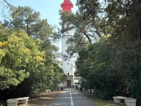 Villa familiale au Cap Ferret: face aux dunes, proche plage, grand jardin et terrasse, 10 pers : photo 23