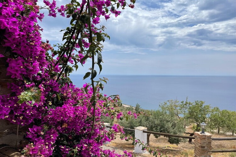 Casa Crisantemo à Adra : gîte avec vue mer et montagne - Photo 27