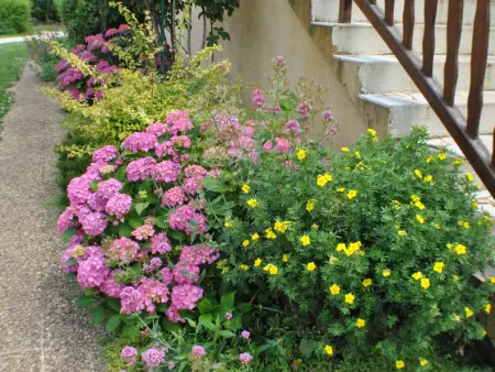 Gîte paisible proche Sarlat avec animaux et jardin - Photo 25