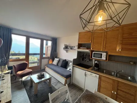 Appartement 4 pers. Alpe d'Huez, balcon sud, navette pistes gratuite : photo 5