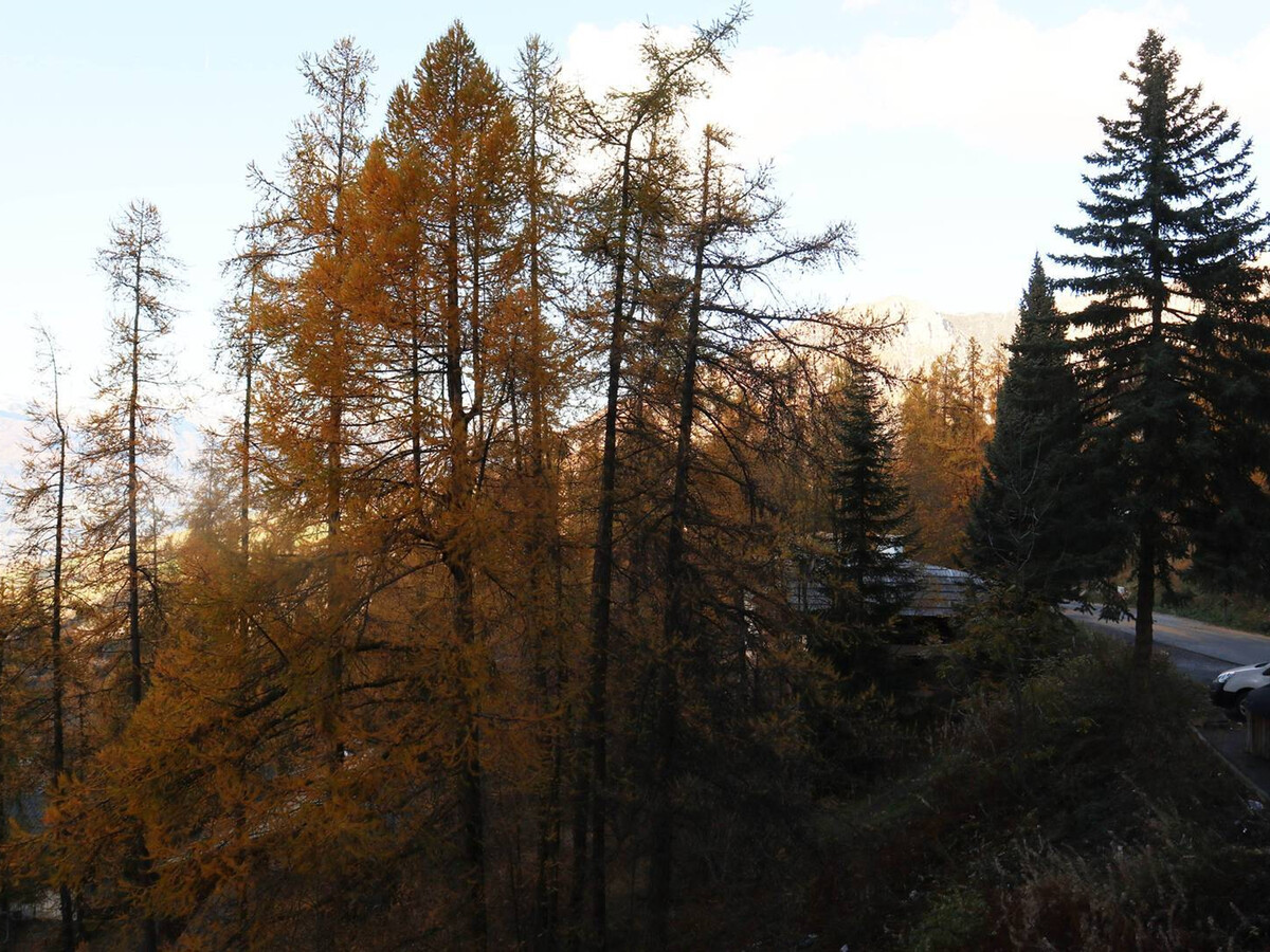 Studio 2 pers. balcon Est aux Orres, cœur de station - Photo 7