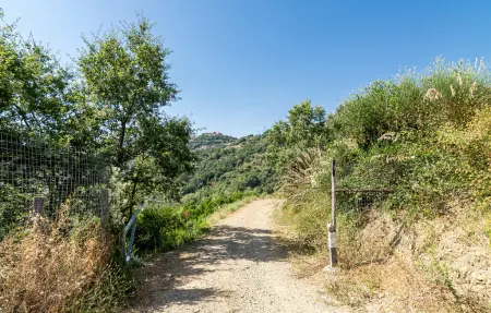 Maison 10 personnes à Prignano Cilento - Photo 40