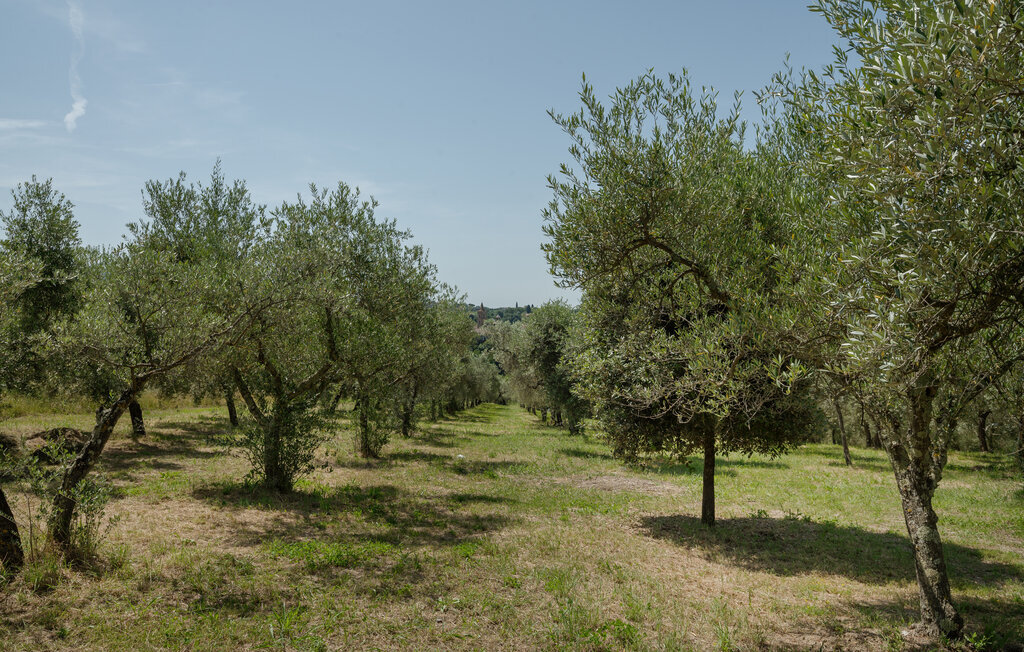Maison 250m² Torri in Sabina, 4 chambres, jardin jeux - Photo 9