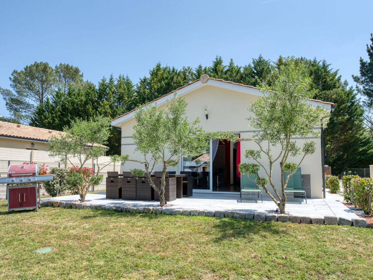 Maison Plassan 80 m² terrasse 40 m² - Lesparre - Photo 19