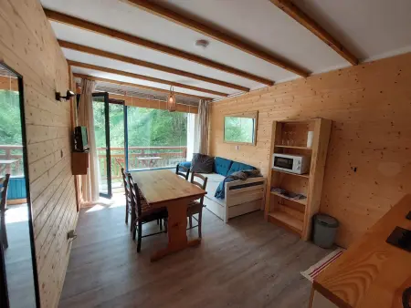 Location appartement à Les Deux Alpes, Studio cosy avec balcon sud et animaux admis, proche pistes