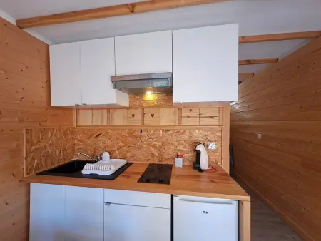 Studio 25m² balcon sud, 4 pers., animaux ok : photo 4