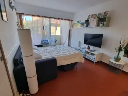T2 Collioure, terrasse vue Moulin, 300m plage : photo 5