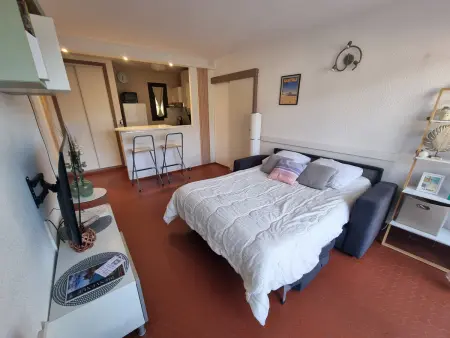 T2 Collioure, terrasse vue Moulin, 300m plage : photo 7