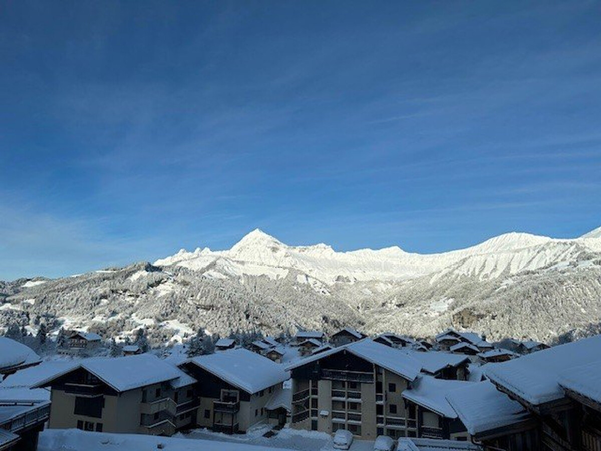 Chalet 12 personnes Crest-Voland, 300 m des pistes - Photo 22