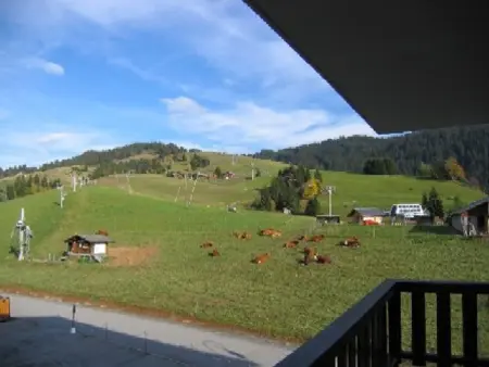 Appartement 4 pers à 50 m des pistes, Crest-Voland : photo 8