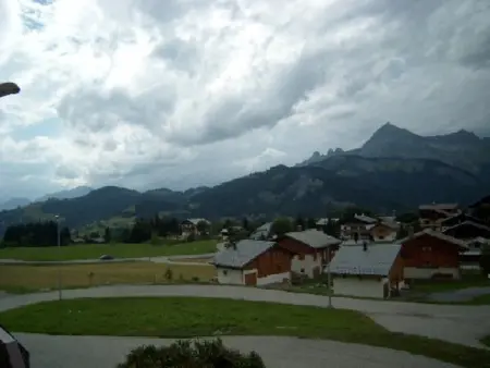 Appartement 2P Crest-Voland, 200m des pistes, balcon : photo 8