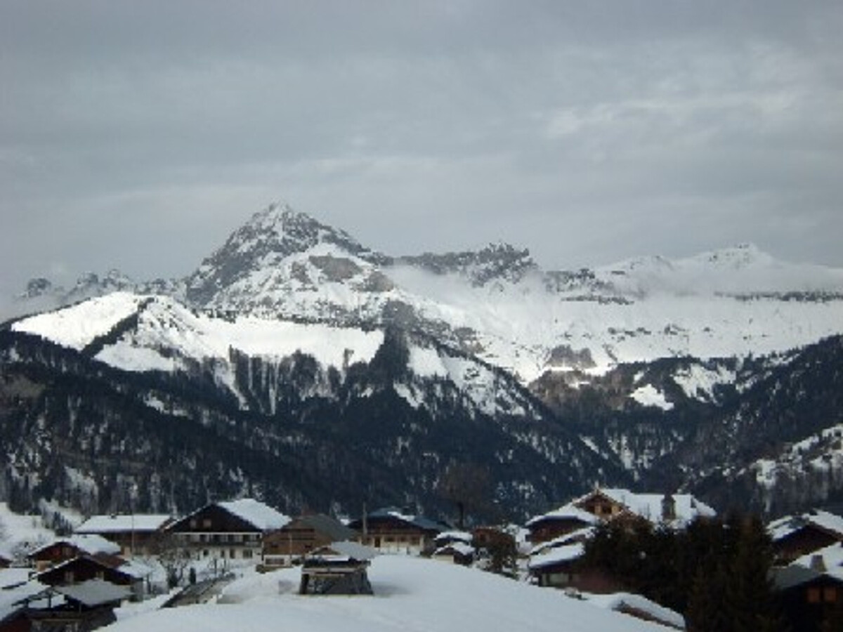 Duplex 8 pers, 4 chambres à 100m des pistes - Photo 10