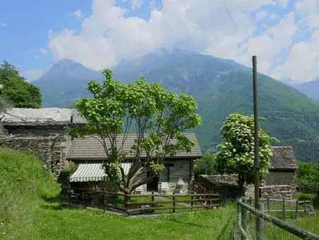 Location maison à Semione