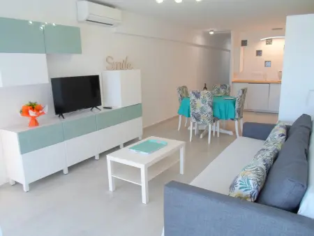 Location appartement à Balaruc les Bains, Appartement 1 chambre avec climatisation proche de létang de Thau