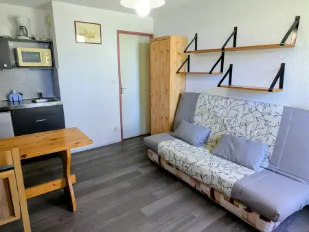 Studio 3 couchages au pied des pistes, animaux admis : photo 2