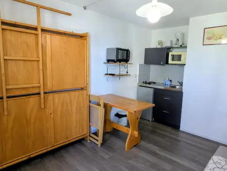 Studio 3 couchages au pied des pistes, animaux admis : photo 3